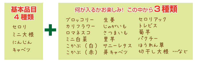 定期購入　2回目以降の発送は10％OFF