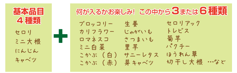 三竹さんのあまっ娘野菜セット10種類