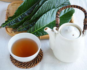 びわの葉茶