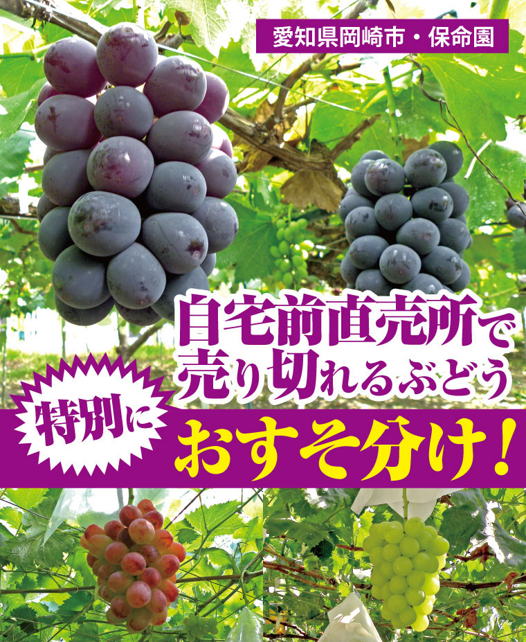 【愛知県岡崎市・保命園】自宅前直売所で売り切れるぶどうを特別のおすそわけ！