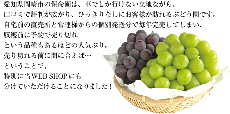 愛知県岡崎市の保命園は、今年も収穫前に予約で売り切れてしまう品種もあるほどの人気ぶり。