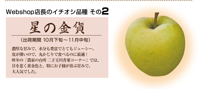 店長のイチオシ「星の金貨」黄金色のりんご、濃厚な甘みでジューシーでお子様に大人気！皮ごと食べるのにオススメ