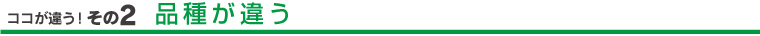 ココが違う！その2　品種が違う