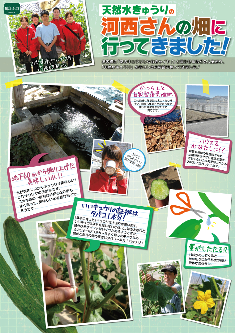 畑いったよ 河西