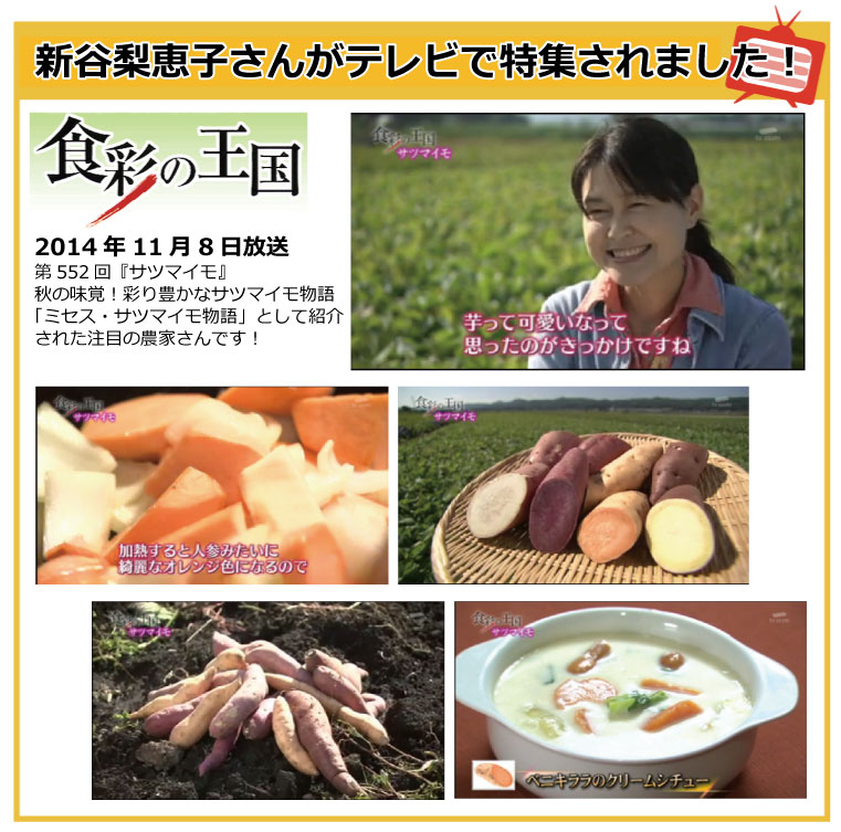 新谷梨恵子さんがTBS食彩の王国に出演しました。