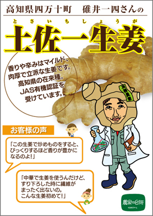 高知県四万十町碓井一四さんの土佐一生姜