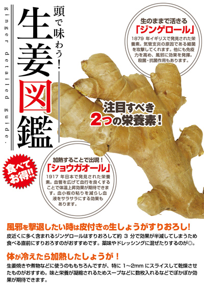 生姜の栄養成分ショウガオールとジンゲロール