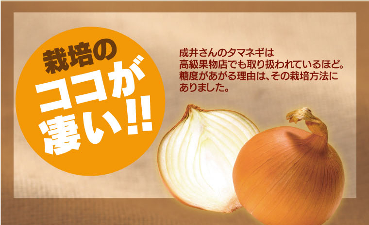 栽培のココがスゴイ！成井さんのタマネギは高級果物店でも取り扱われているほど。糖度があがる理由は、その栽培方法にありました。