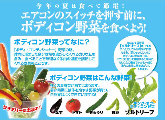 �ܥǥ�������ڤȤ�