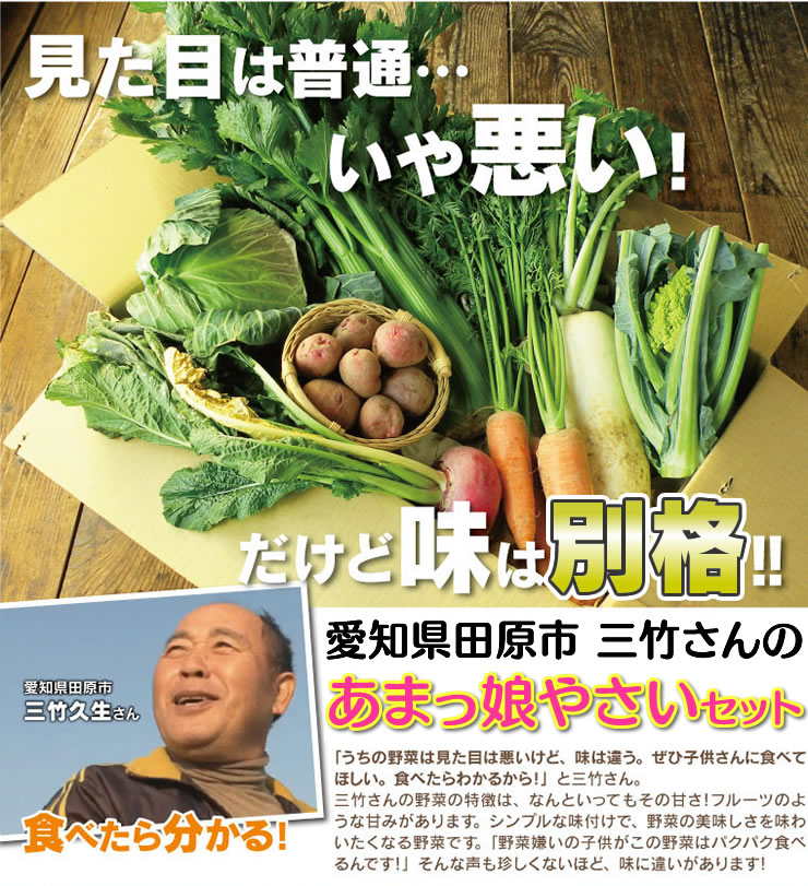 セロリ好きが唸るセロリ入りセット。愛知県田原市三竹さんのあまっ娘野菜セット