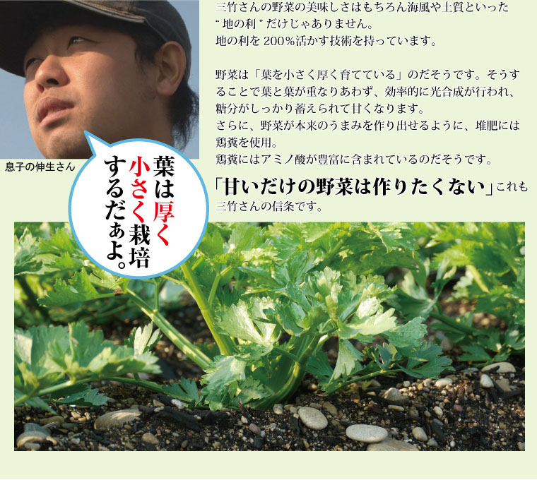 石が多い畑は水はけが良く保湿性があって、野菜がしっかり根を伸ばす