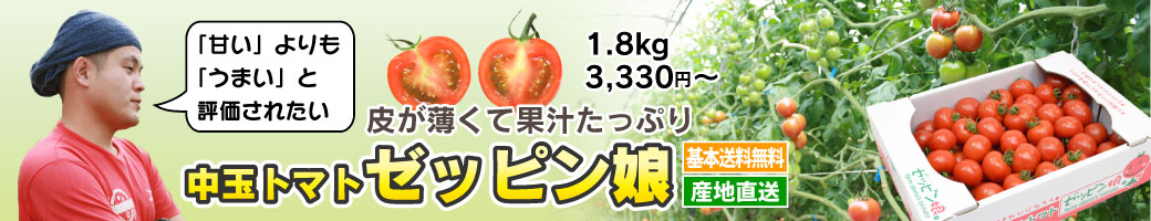 ̥ȥޥ åԥ̼