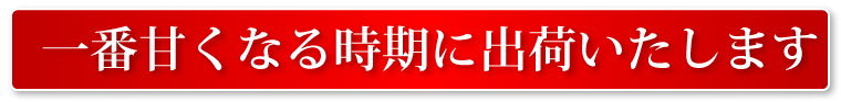 一番甘くなる時期に出荷します