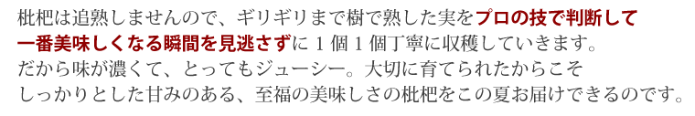 プロの技で一番美味しい瞬間を収穫