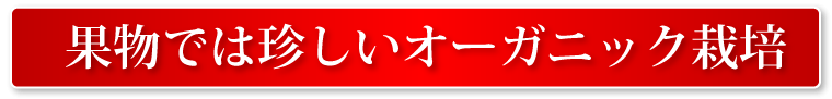 果物では珍しいオーガニック栽培