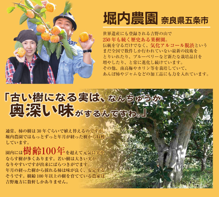 樹齢100年の柿の樹を有する奈良県の堀内農園