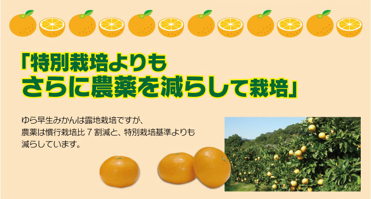 農薬は慣行栽培比7割減と、特別栽培基準よりも減らしています。