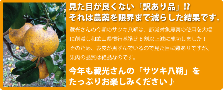 見た目に難あり