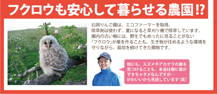 フクロウも安心して暮らせる!?エコファーマー取得。野生のフクロウが巣を作る安心安全な農園。