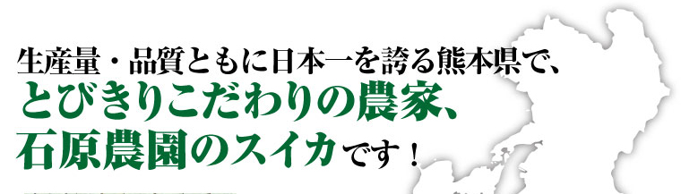 生産量・品質ともに日本一の熊本県で、とびきりこだわりのスイカ農家、石原農園の大玉スイカです。