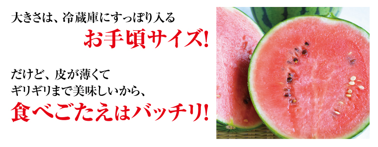 大きさは、冷蔵庫にすっぽり入るお手頃サイズ。だけど、皮が薄くてギリギリまで美味しいから、べごたえはバッチリ！