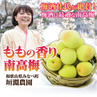 梅酒杜氏が絶賛！垣淵農園の『もものかおり 南高梅』