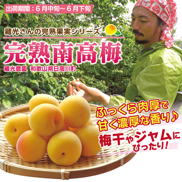 梅干し・梅ジャムに！藏光さんの完熟果実シリーズ「完熟南高梅」