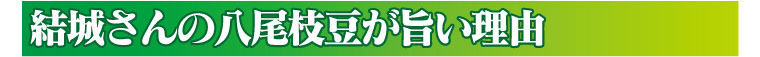 結城さんの八尾えだまめが旨い理由