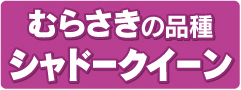 むらさきの品種シャドークイーン