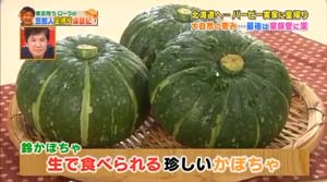 生で食べられる珍しいかぼちゃ「鈴かぼちゃ」テレビ紹介
