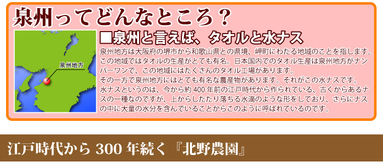 泉州地方とは