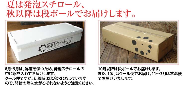 贈り物にも使える！れんこんモチーフの段ボールでお届けします。れんこんの保存方法