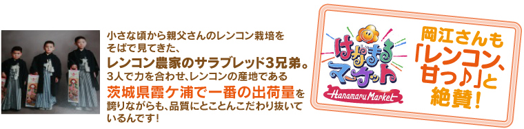 小さな頃から親父さんのレンコン栽培をそばで見てきた、れんこん農家のサラブレッド3兄弟