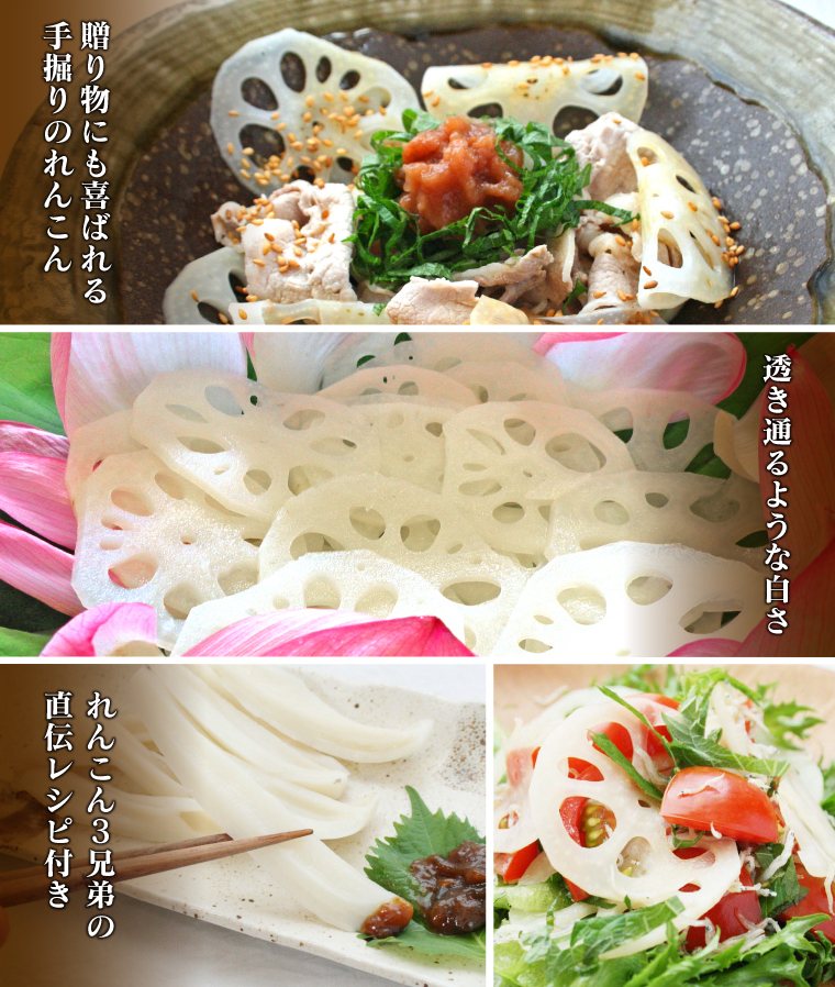 贈り物にも喜ばれる手掘りのれんこん