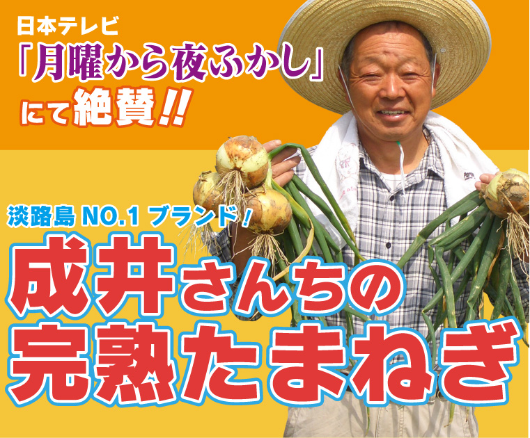 最高糖度なんと16度以上！成井さんちの完熟たまねぎ（海水たまねぎ）