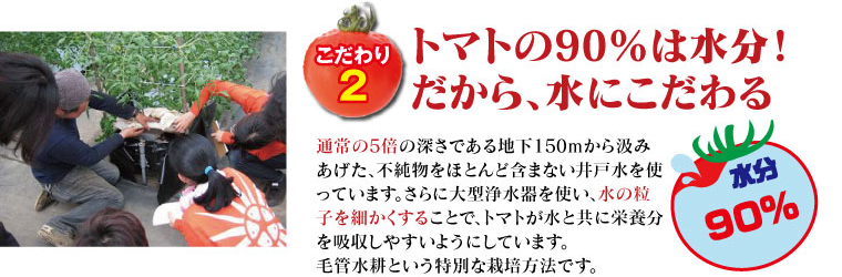 トマトの90％は水分。だから水にこだわる。通常の5倍の井戸水を使い、さらに大型浄水器で小粒子化し、トマトが水とともに栄養を吸収しやすいように