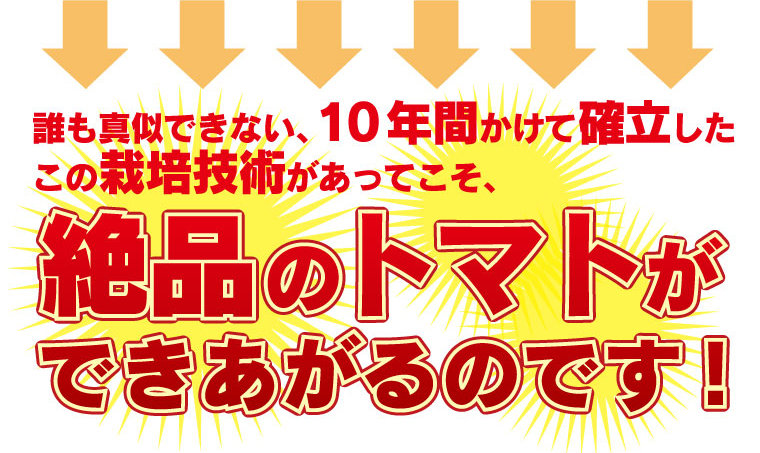 誰も真似できない、10年かけて確立したこの栽培技術があってこそ、絶品のトマトができるのです。