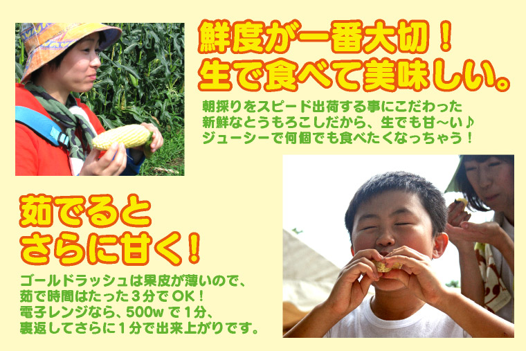 ٤ڡǿ٤̣觤ǤȤ˴Ť