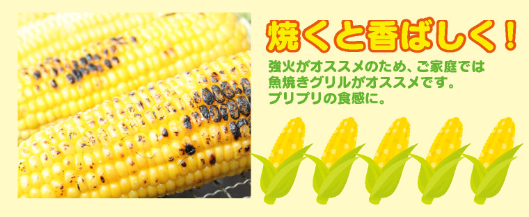 ƤȹФ