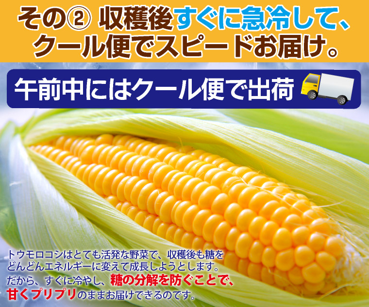 ϸ夹˵䤷ƥԡɤϤ