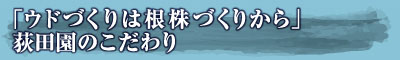 「ウドづくりは根株づくりから」荻田園のこだわり